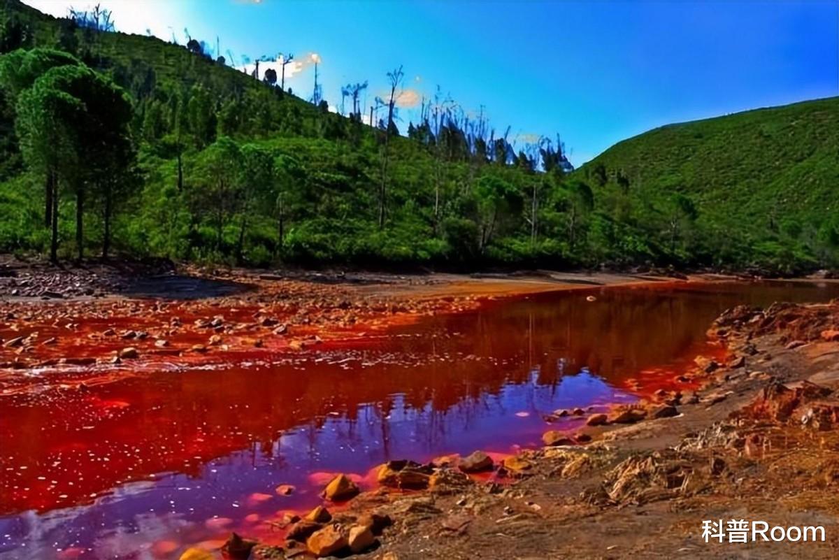 金属都能溶解,地球上最致命的3条河流,你见过体型最大的蛇吗?