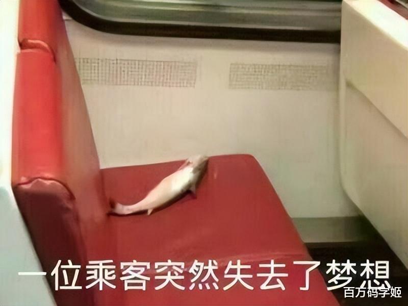 八零九零|零零后打工人如何看待八零后:“叔叔阿姨别卷了,活着不好吗?”