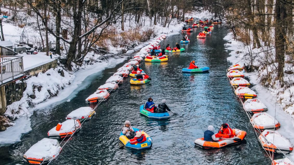 昆明女子去东北旅游，三个人点了5道菜，上桌后表示：菜量太实诚