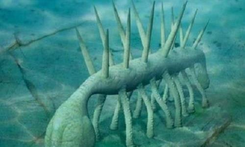 一提到远古生物你只知道恐龙?来看看这四种生物比恐龙还要怪异