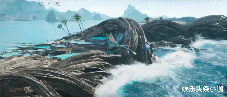 阿凡达2|鹿晗大瓜?王大陆认爱?阿凡达2天价?