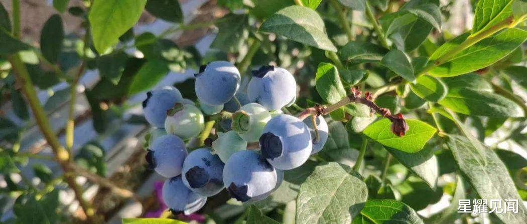 武夷山国家公园|美丽乡村游——朱阳雄关，大美河山