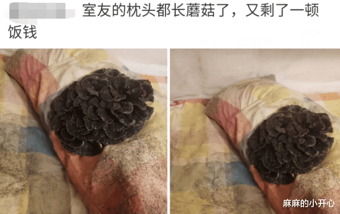 嘀嘀|爷爷钓鱼总被野狗打劫，于是他带了只120斤大狗，结果...