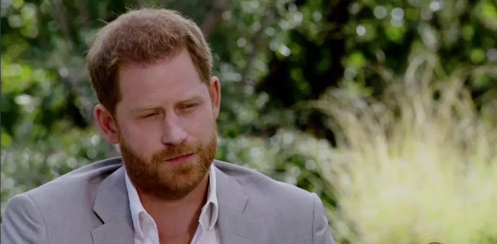 啃老|「啃老的巨婴」碰上「不专业的打工人」，两口子真 ? 绝配