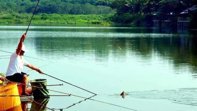 饵料|通过漂相可判断出什么鱼在下面咬钩，高手是怎么做到的？