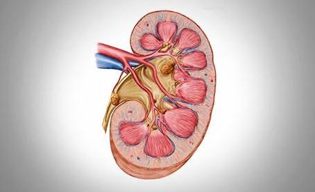 更年期|高尿酸患者,发现“1肿1痛1高”,“肾衰竭”可能已经蠢蠢欲动了
