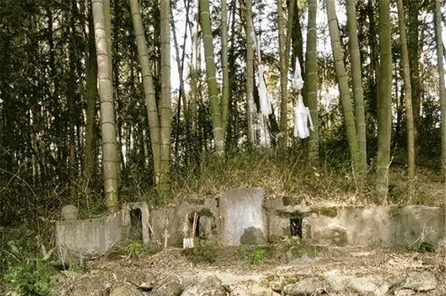 坟边长竹须迁坟,坟前两物成富人,“两物”是啥?有何道理