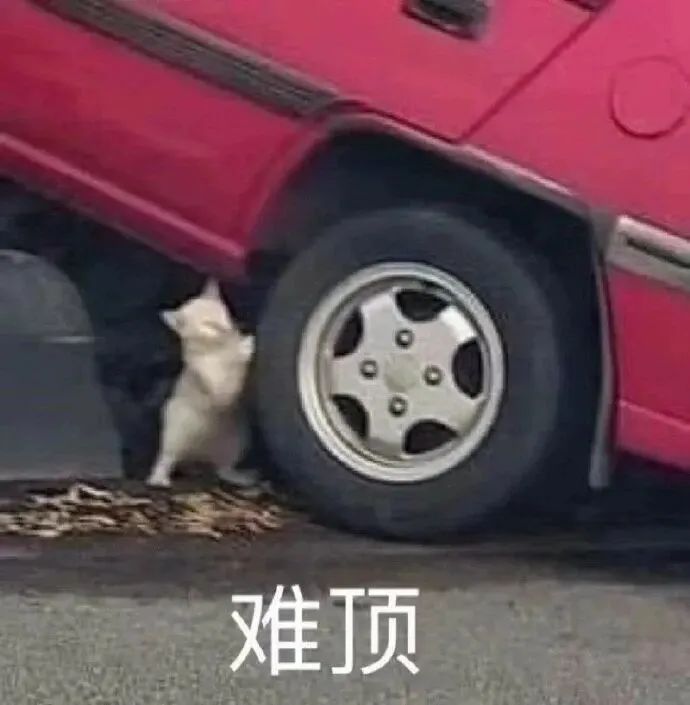 山东队|净吞12弹！中国足球还有希望吗？