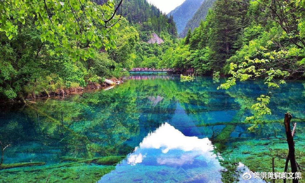 |夏天的九寨沟,绿意盎然,水幽蓝深邃,太美太凉爽