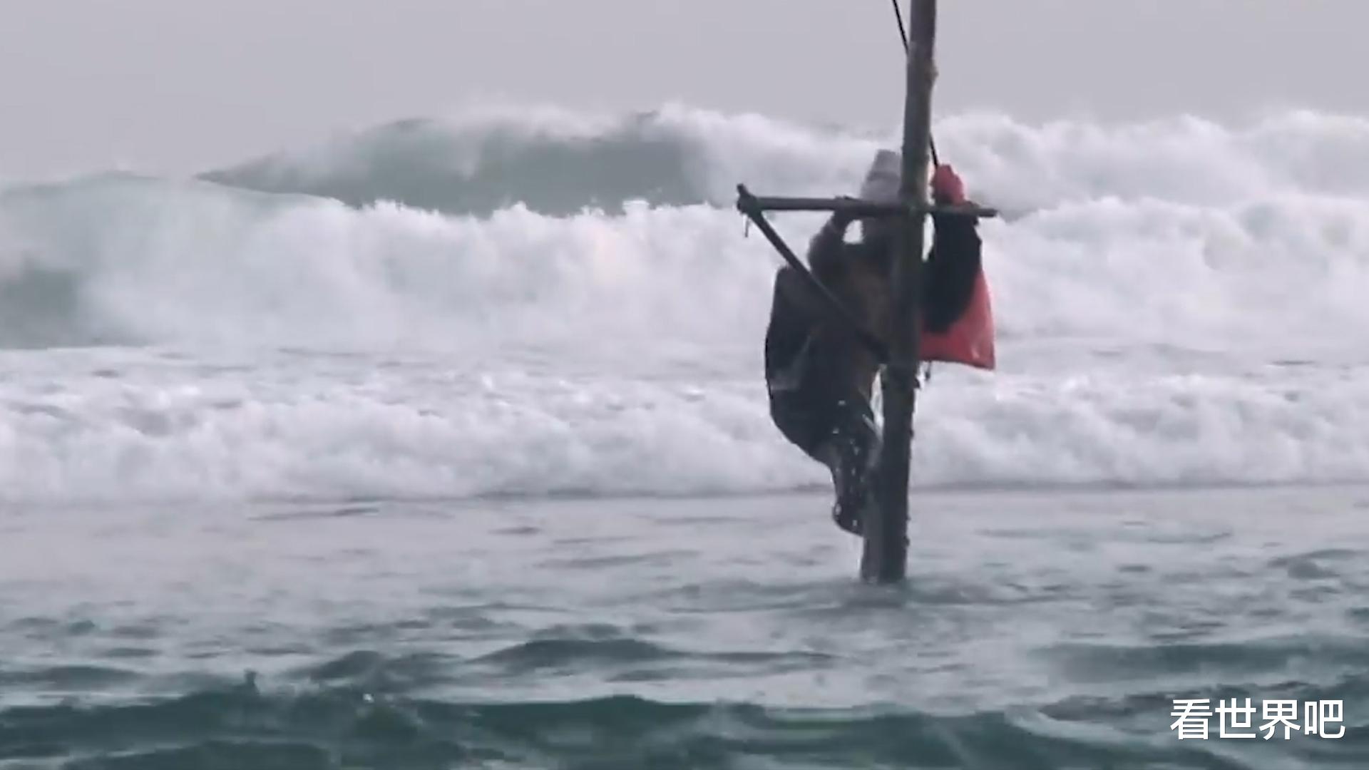 |斯里兰卡独一无二的“无饵立竿钓”,可以说是用生命在钓鱼了