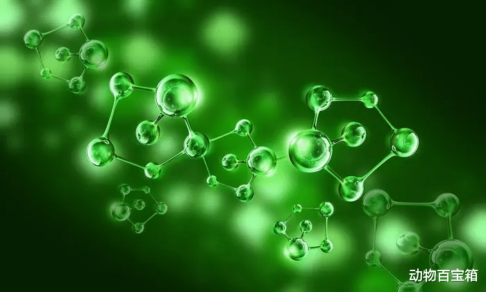 4500岁高龄!长达180公里!世界上最大的生物被发现,它究竟是什么?
