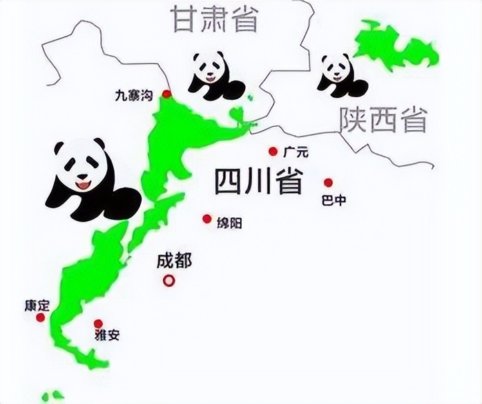“国宝”要被抢了?欧洲发现千万年前熊猫化石,它真起源于欧洲吗