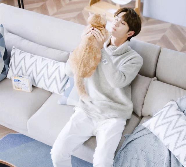 王一博|关于王一博的“瓜”，请找到正确的“吃瓜”途径