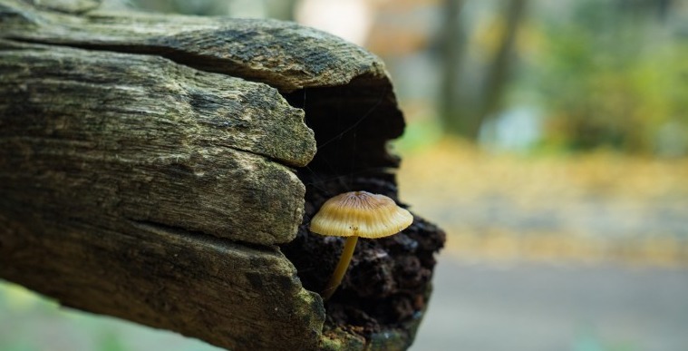 无锡|今时不同往日,现在我已经不想提自己的职业
