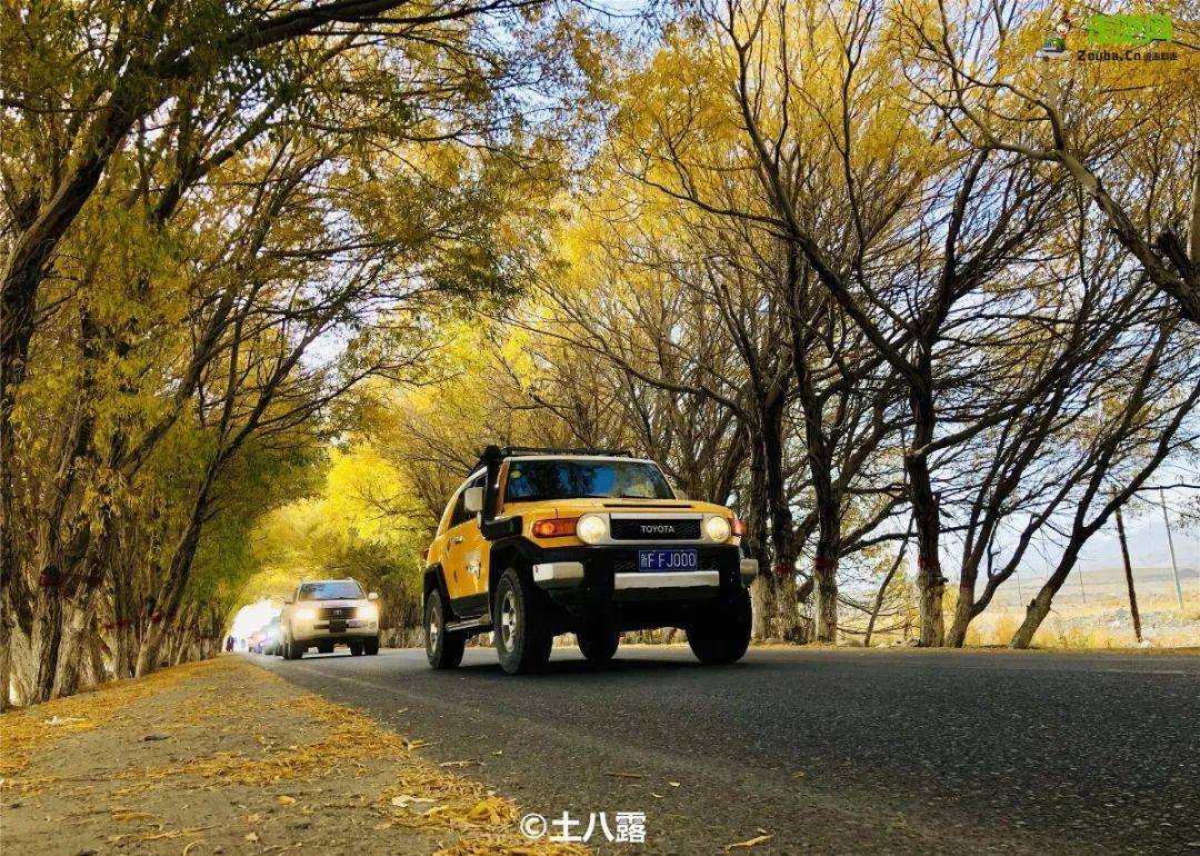 南疆|跟着秋天，去南疆！