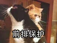 高通骁龙|小米OV的旗舰机，都在悄悄做这件事