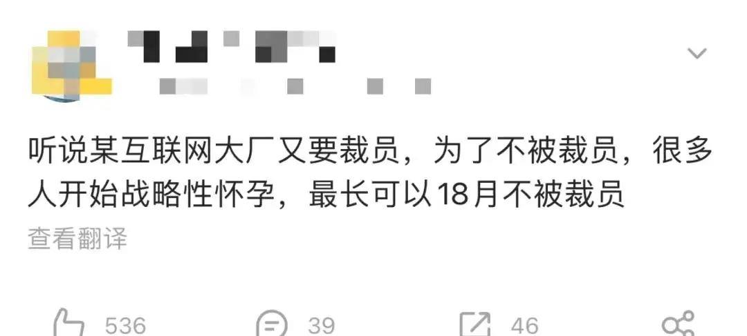 郑爽|郑爽要“复出”了？