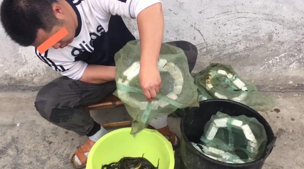 空军|屡遭非议的钓鱼“小药”,是智商税?还是动了鱼饵厂商的奶酪