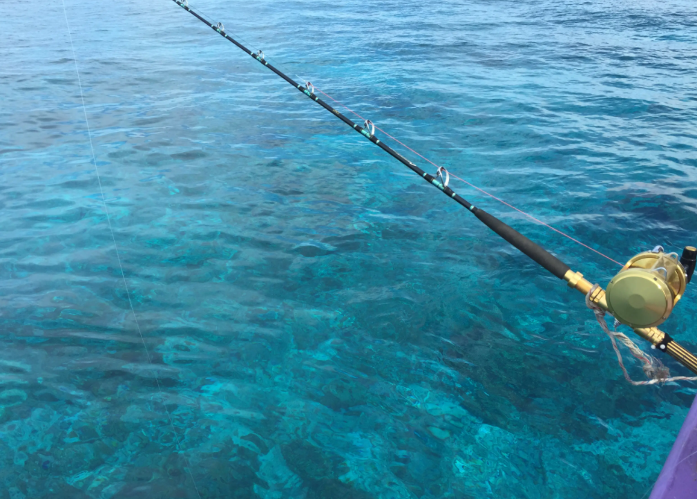 解缙|越来越多人青睐海钓,钓鱼的旅行之旅,海钓安全可能殃及生命