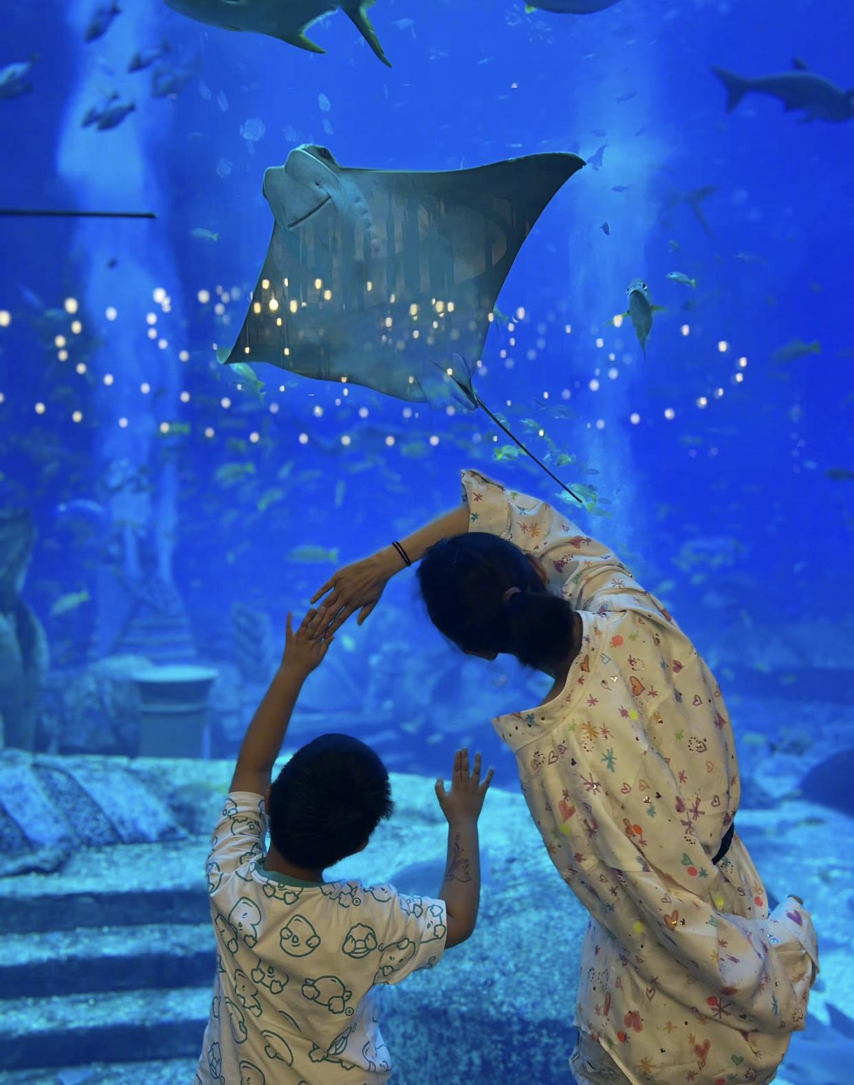 陈思诚|44岁陈思诚为前妻庆生！晒佟丽娅睡衣照显亲密，离婚后还是好朋友