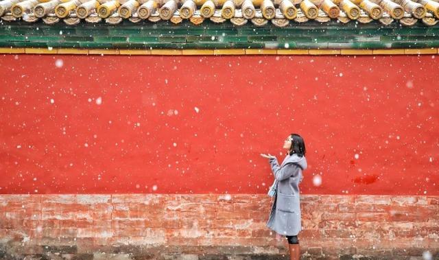 银装素裹分外妖娆，送你6个雪景摄影技巧，留住雪后惬意时光