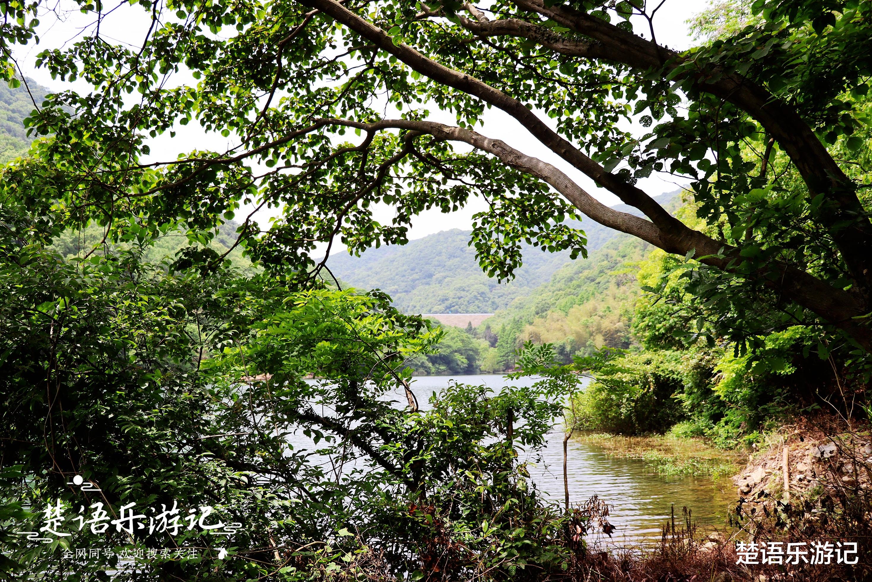 清远|宁波北仑慈东村的三个水库，个个绿如翡翠，成为绝佳的露营胜地