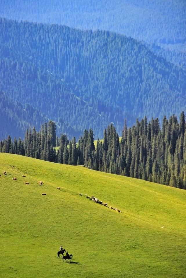 云南|中国一生中必去的50个地方,疫情结束,你最想去哪旅行呢?