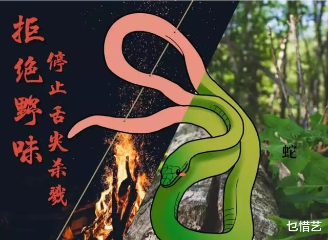 蛇修炼1000年可化身为“蛟”是真的吗,为什么野外看不到蛇尸?