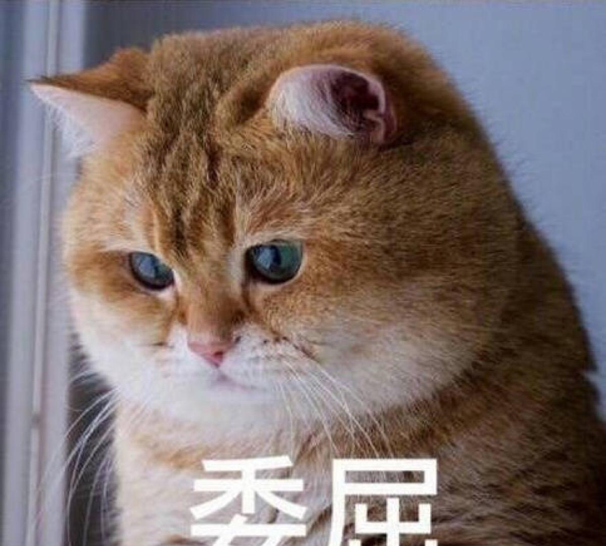 既赔钱还要挨骂,有委屈不能随便说,大药房才是28案最大受害者