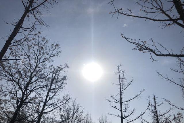 2022年冬季寒冷天气“时间表”,老祖宗的经验总结,早看早知道!