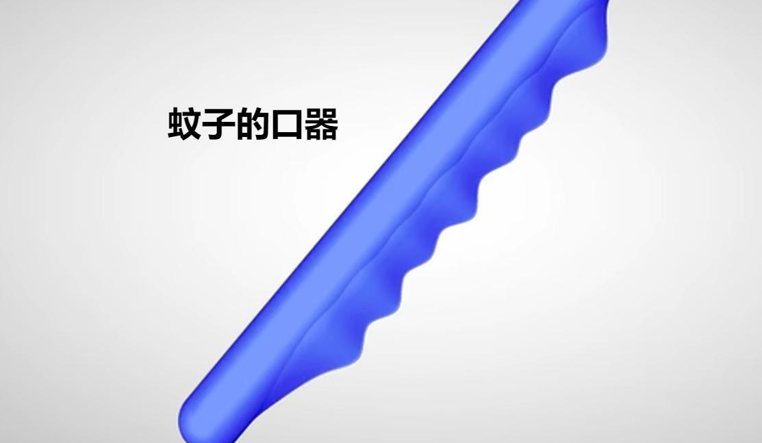 蚊子在地球上究竟有什么用?如果全部灭绝,会有何等严重的后果?