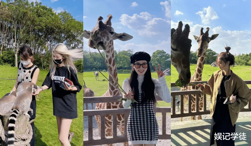 王思聪|王思聪带女友逛动物园，化身摄影师给其拍照，女方好身材一览无余