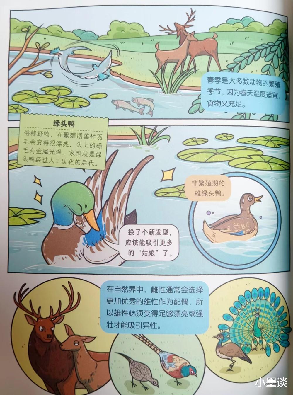 这本大人看了都上瘾的童书,教你如何“博物致知”