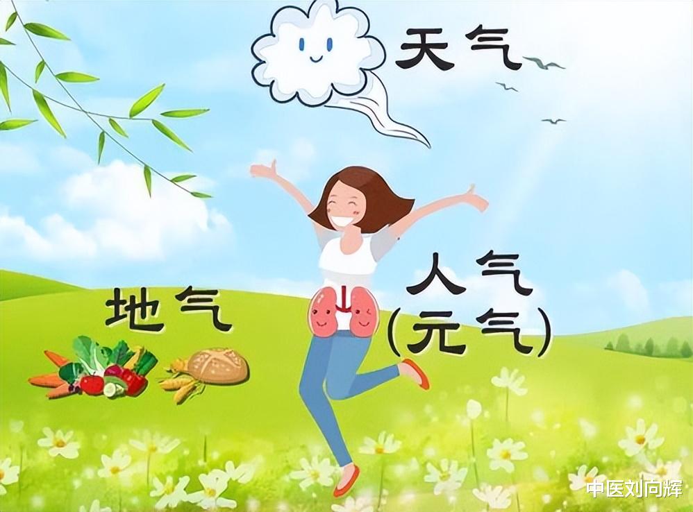 中成药|脾气虚乏力，心气虚胸闷，肾气虚多尿…5个中成药，帮你补气理气