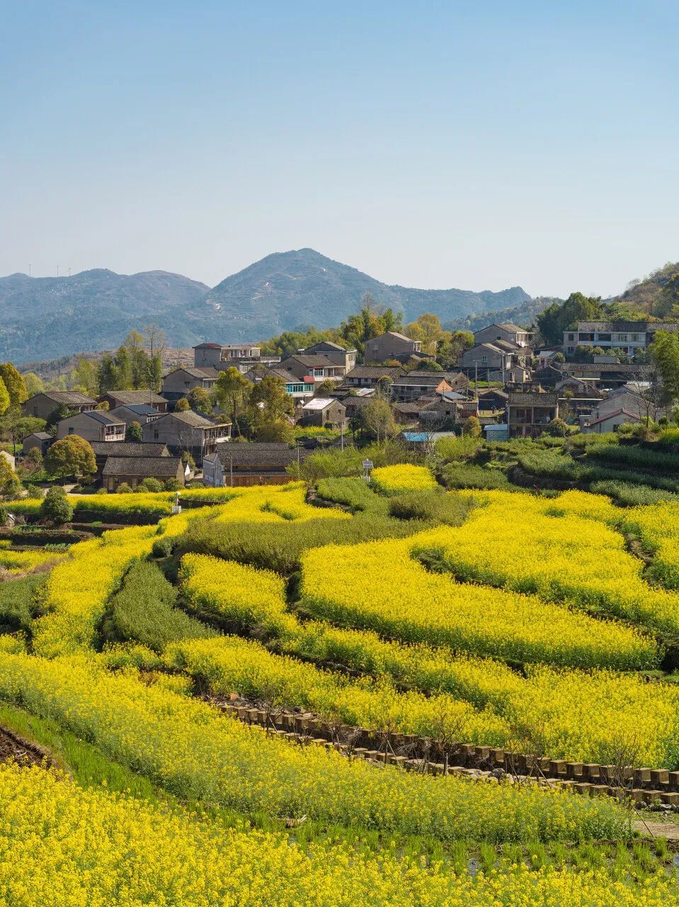 宁波|12次获评“中国最具幸福感城市”的宁波人，到底有多厉害？