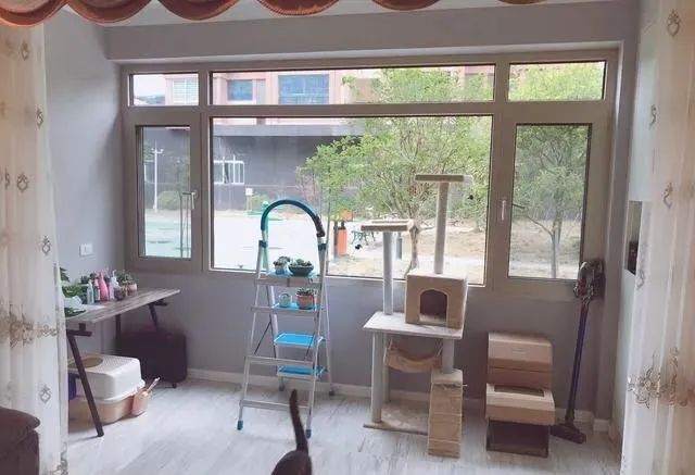 老公不顾反对硬是买了一楼，完工后我懵了，全屋漂亮极了，晒晒！