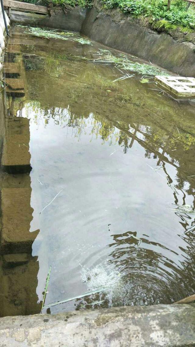 晒晒男友家农村自建房，看到这样的房子和厨房，我成了落跑新娘！