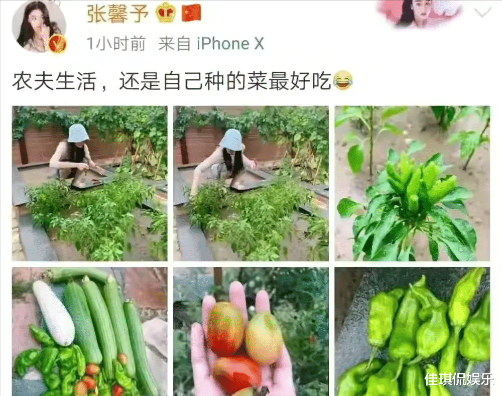 乘风破浪的姐姐|张馨予直播，这才是明星应该学习的方式！“开馨农场”收获满满