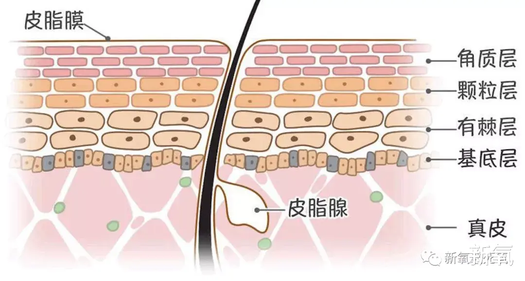 面膜|果然，女星初恋纯欲天花板还是得看她