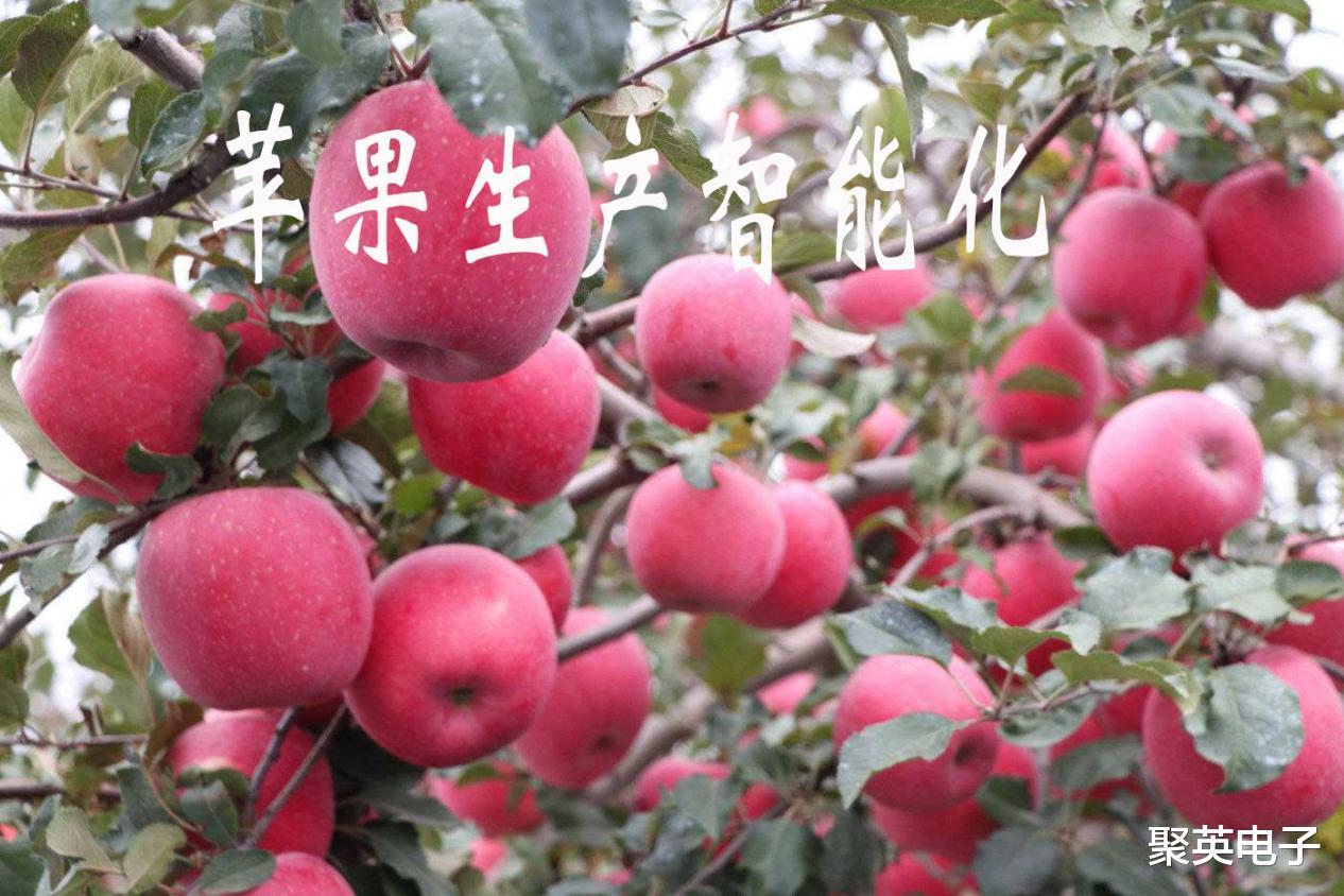 苹果|苹果生产智能装备科研进展，除草收获有望自动化