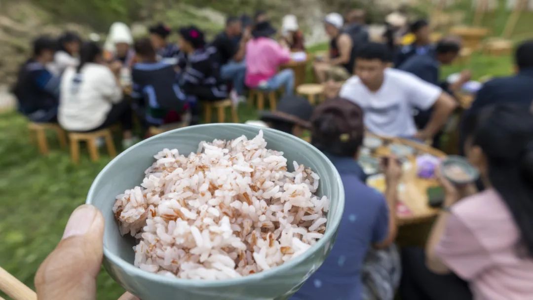 梯田|到红河苏红寨,体验宜居的半山康养生活!