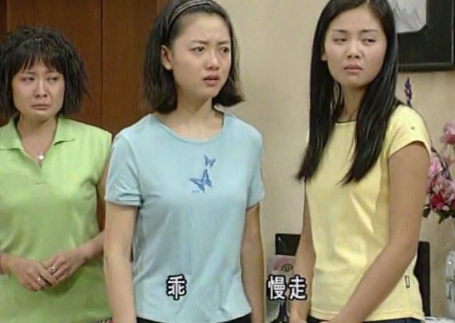 外来媳妇本地郎|《外来媳妇本地郎》四位过客式的美女,有三位都曾经喜欢过康祈耀