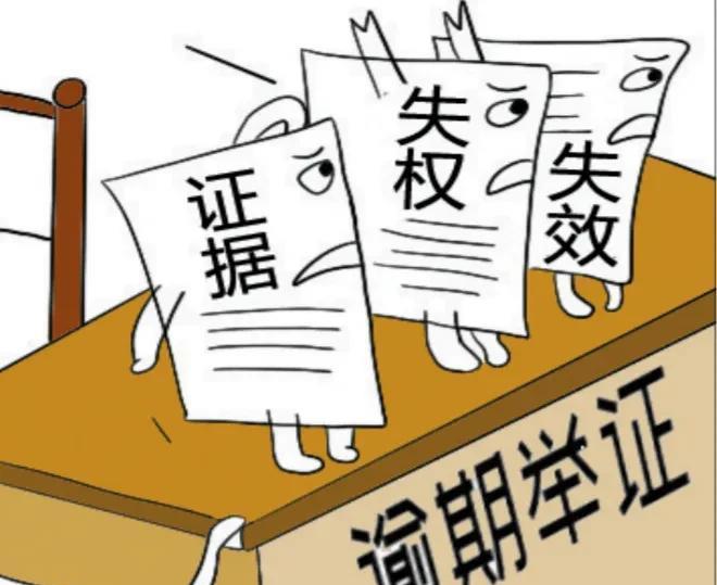 违反诚信原则逾期举证,拖延诉讼进程被重罚20万元