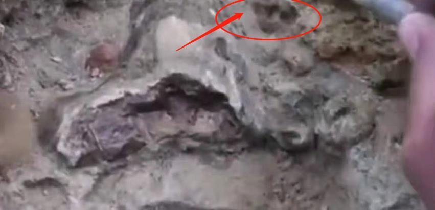 6500万年前被抛到月球的遗骸,是登陆还是研究,人类都蒙了