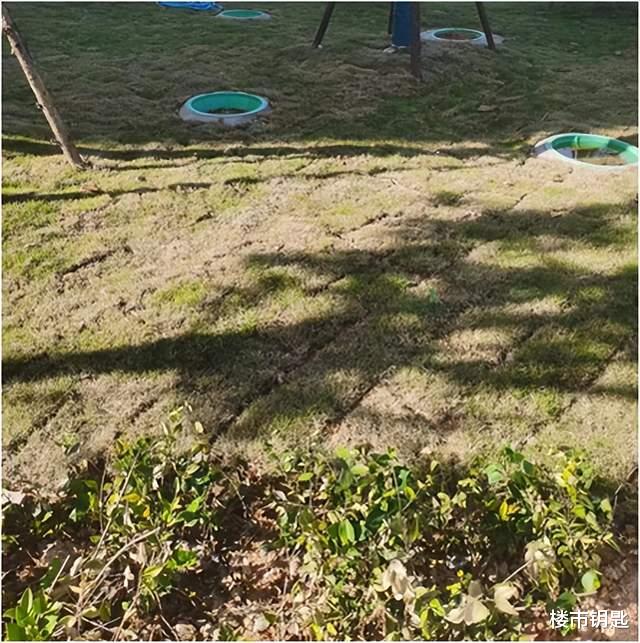 温州|温州一楼盘被住建局限售!交付减配业主维权