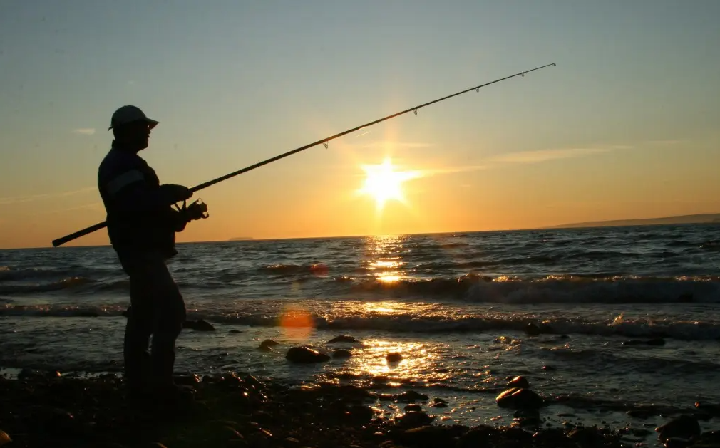 成都|钓鱼人竟然被嫌弃了, 成都一公园树讲文明牌子, 说放生积德钓鱼丧德