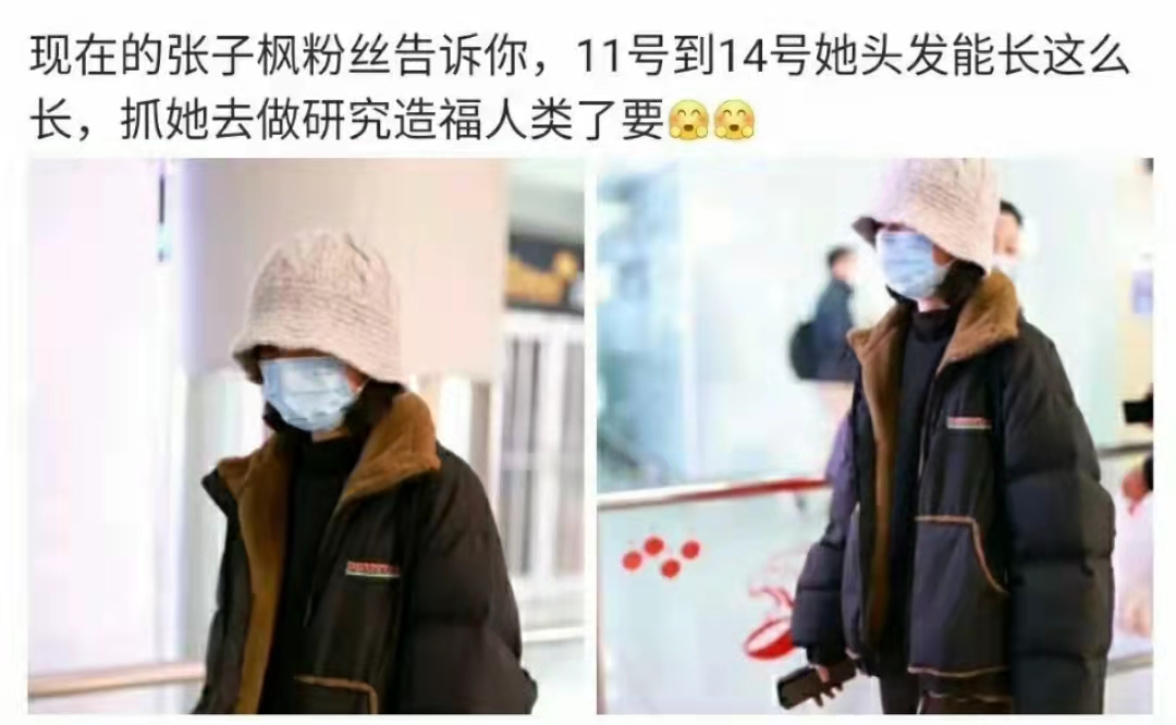 焉栩嘉|张子枫焉栩嘉疑似恋情曝光,全网不被祝福的明星情侣,再添一对