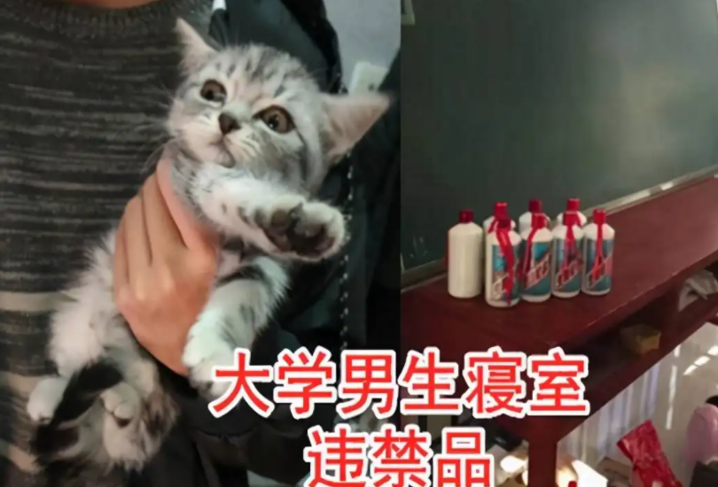 辅导员突击查寝,违禁品一个比一个奇葩,网友直言“笑不活了”