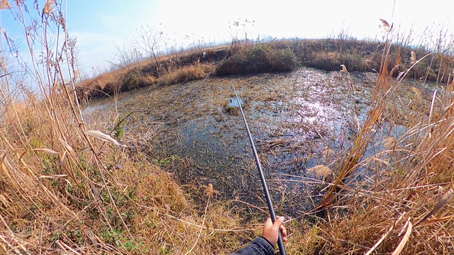 |别人浅水连杆，你却深水没口，符合这些情况切记不要钓深水
