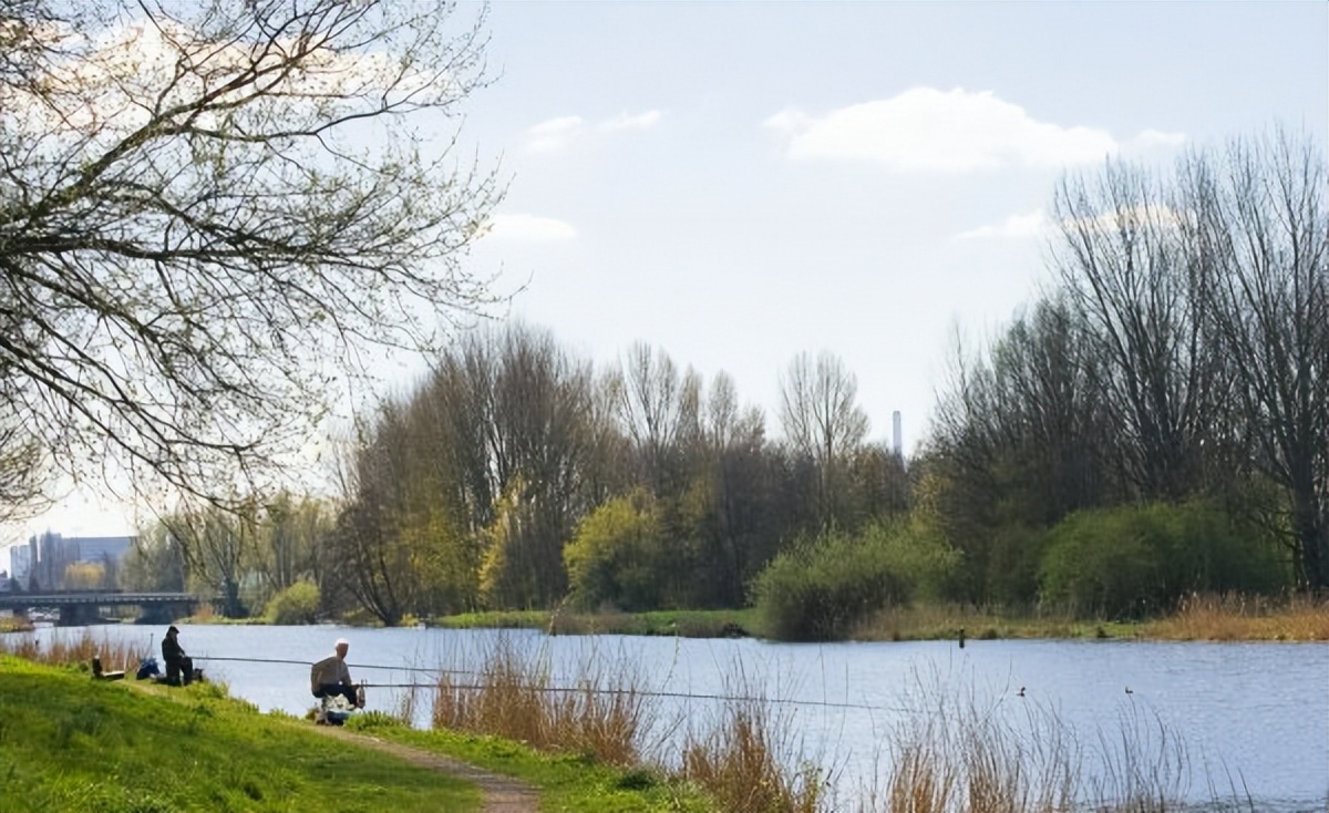 饵料|初春钓鲤鱼饵料怎么搭配效果好？饵料搭配对，钓鱼不费劲
